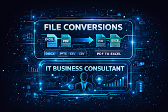 provide IT business consultation