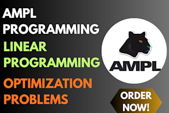 do linear programming and optimization problems projects using ampl