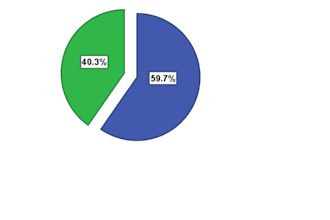 do accurate data entry and data analysis using spss