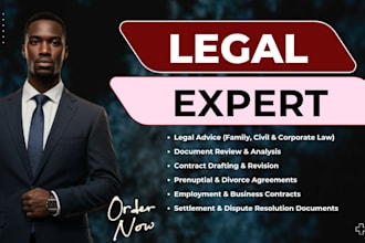 provide family, civil, and corporate legal advice and document review