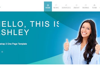 fix your wordpress problem professionally