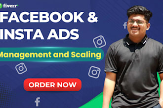 set up and manage facebook instagram ads with pixel tracking and retargeting