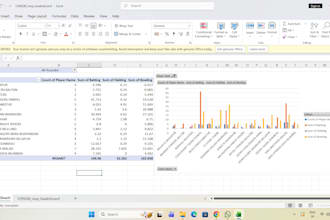 do advanced excel data cleaning vlookup pivot tables and mis reporting