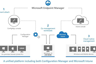 help to fix your ms intune issue