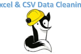 clean, format, and organize your excel or CSV data fast