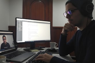 provide accurate and manual video transcription in spanish