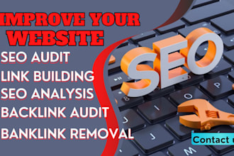 audit your backlinks and create a custom SEO strategy