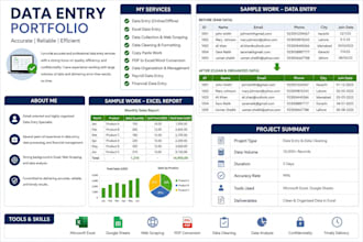 do accurate excel data entry, data cleaning