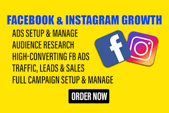 setup and manage facebook ads and instagram ads, meta ads
