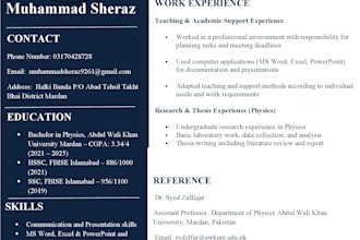 design and optimize a professional CV and resume