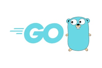 build go lang application