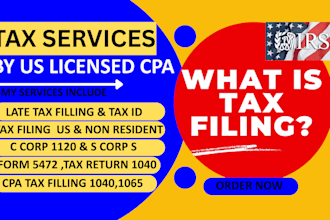 handle USA tax filings declaration, income tax returns 1120,5472 cpa