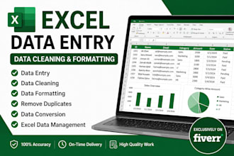 be your excel expert for formulas, report and data analysis