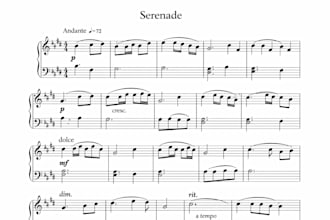 do professional violin audio transcription sheet music string ensemble scores