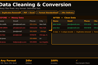 deliver quick data cleaning and conversion in excel and csv