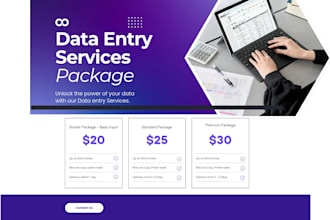 do fast data entry, copy paste, typing and excel data entry