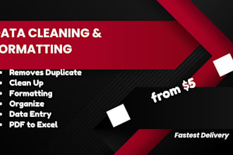 do excel data cleaning, formatting and sorting
