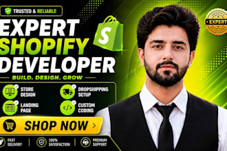 build shopoify store, design, redesign, dropshipping store, shopify website