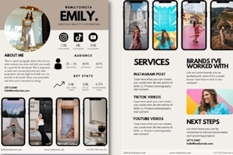 design premium quality influencer press kit epk  press kit media sheet for blog