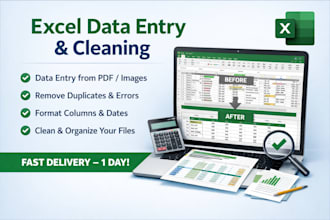 do accurate data entry and excel data cleaning in 1 day