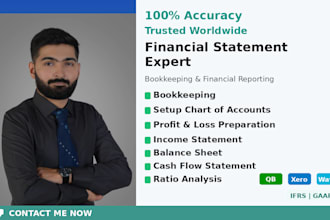 prepare balance sheet, financial statement, profit and loss and cash flow