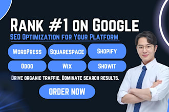 do SEO optimization for wordpress, shopify, squarespace, odoo, showit, wix webs