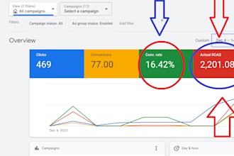 manage google ads monthly to optimize roas