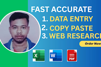 do accurate PDF to excel and image to excel data entry