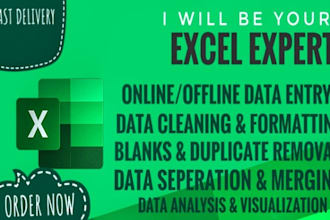 clean, format ,merge excel data