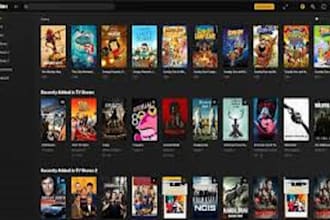 professionally set up optimize and fix your plex media
