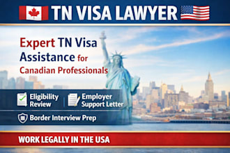 professionally prepare your tn visa application with expert legal guidance