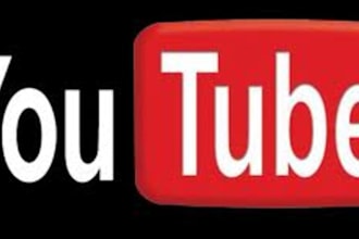 give you 225 youtube views to you tube video