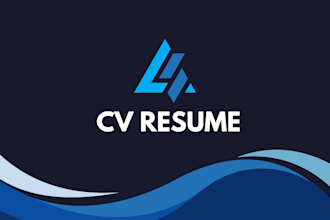 provide professional CV resume services  cover letter