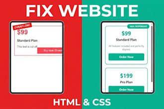 fix HTML and CSS layout issues and responsive problems
