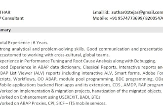 providing sap abap development