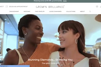 optimize your prestashop store, website design, customization, bug fix, rank se
