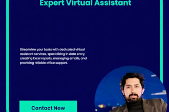 be your virtual assistant for admin, data entry and excel work