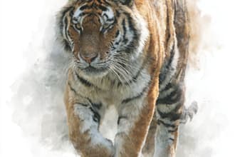 make animal illustrations in watercolor