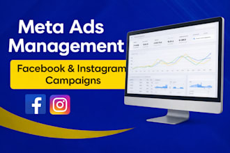 manage meta ads for facebook and instagram