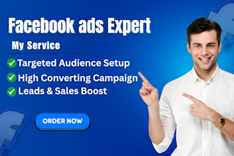 setup and manage facebook ads campaign,fb ads ,meta ads