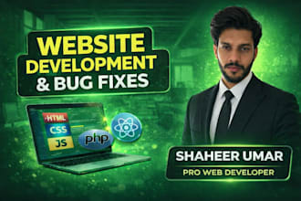 do professional website development, bug fixes, and error fixing