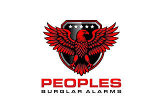 create professional and specially eagle logo design