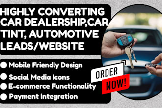 generate car dealership car tint car rental leads and build automotive website