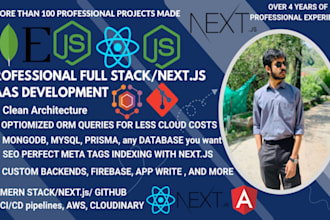 software developer for mern stack website