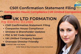 file cs01 confirmation statement and companies house compliance