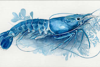 hand painted watercolor scientific, natural illustration