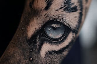 draw a realistic realism tattoo design for you