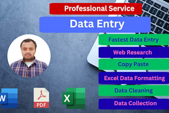 do excel data formatting, cleaning and data entry expert