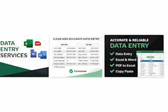 accurate data entry and typing in excel or word