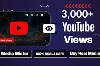 do add 3000 youtube views organically